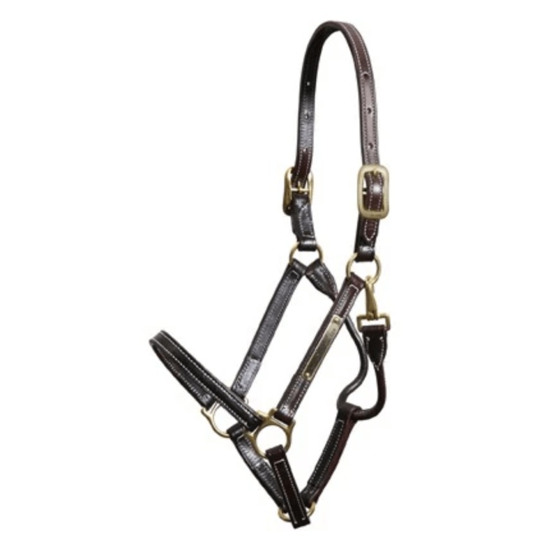 Walsh Showman 3/4″ Halter