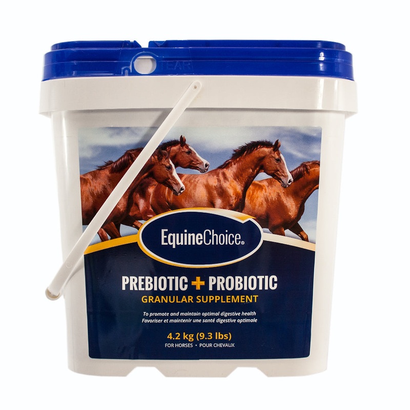 Equine Choice Probiotic 4.2kg