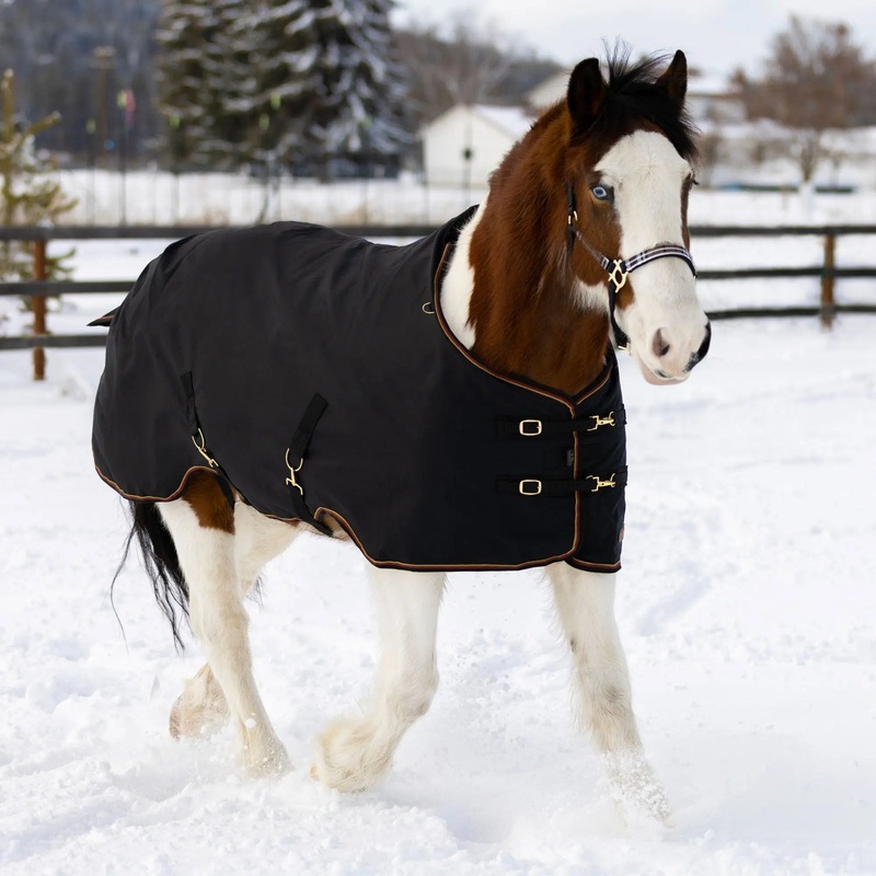 1200D 80G Light Weight Waterproof & Breathable Draft Winter Turnout Blanket