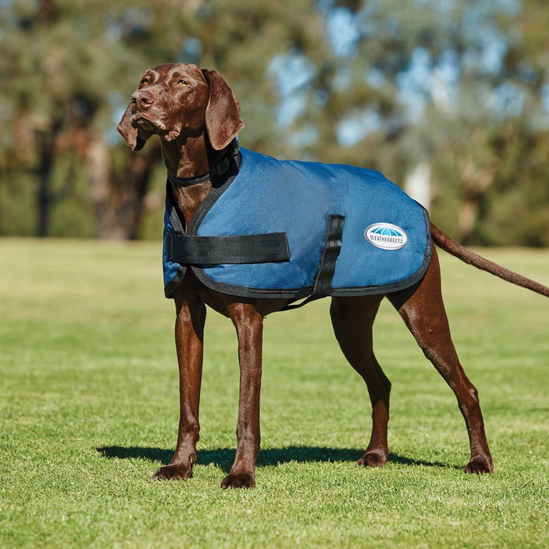 Weatherbeeta Comfitec Classic Dog Coat