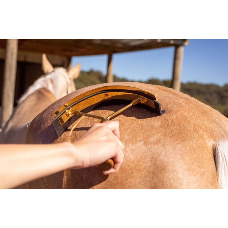 Hairy Pony Gold Sweat Scraper
