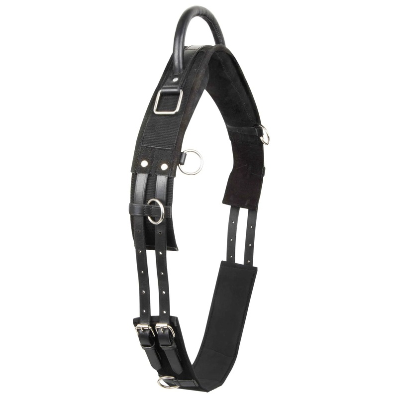 Imperial Riding Vito Lunging Girth