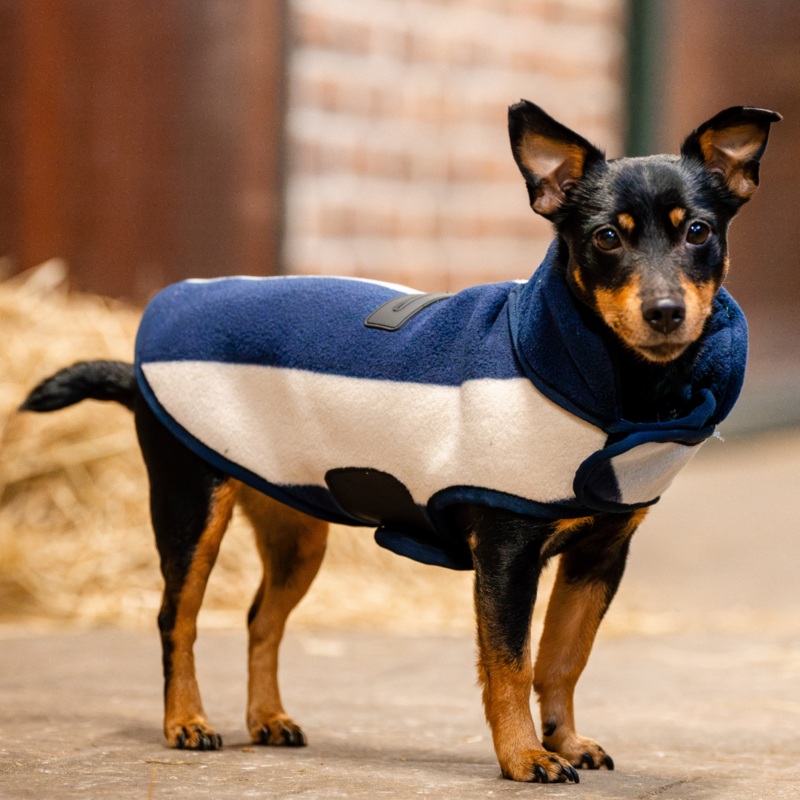 Horseware Ireland Signature Dog Fleece