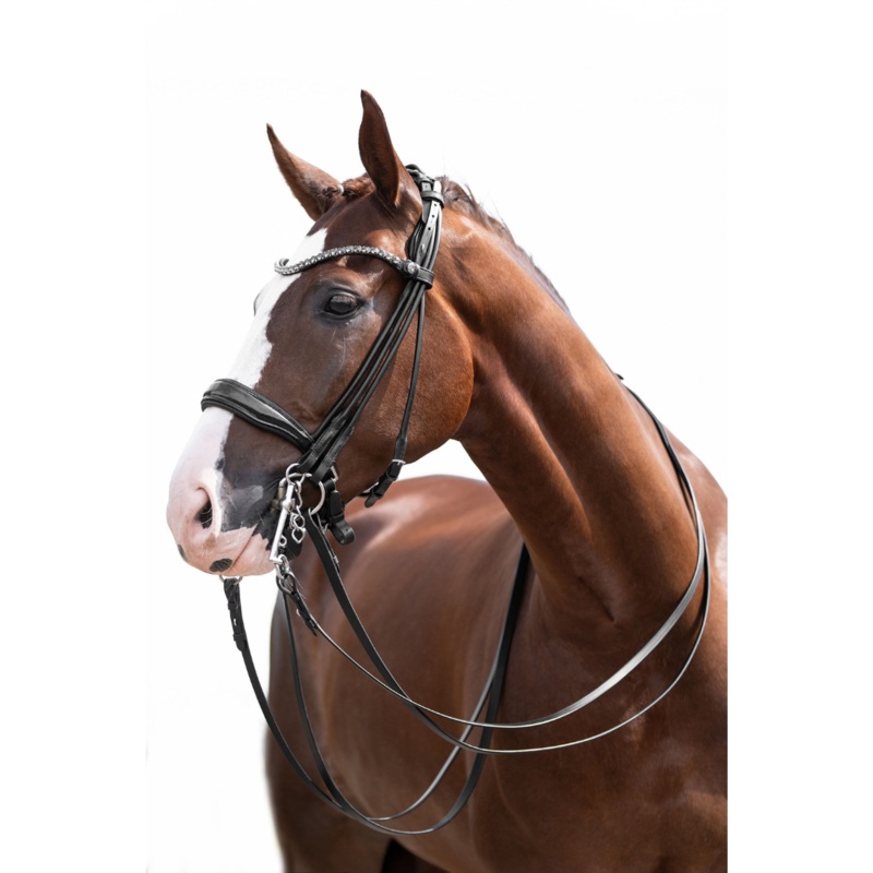 HKM Double Bridle -Kate-