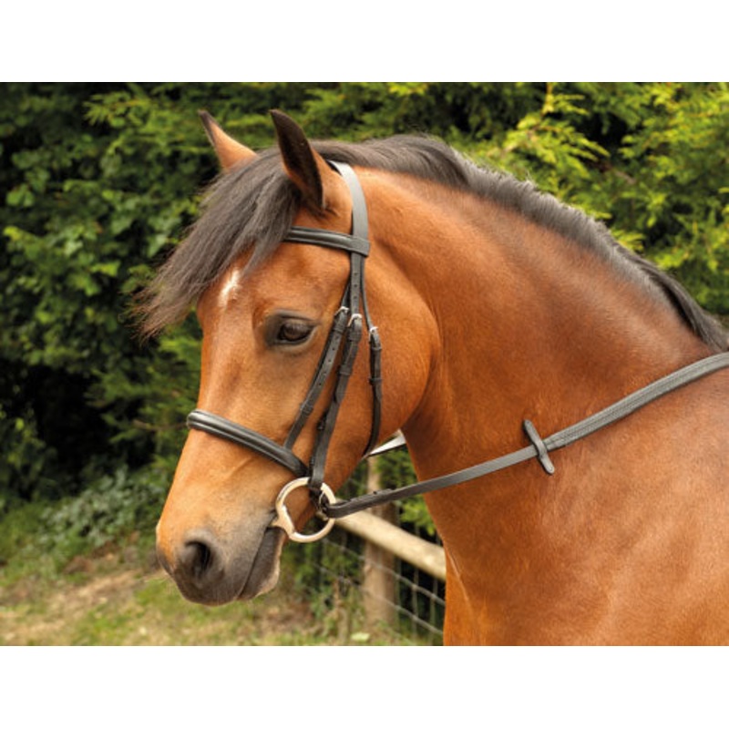 Windsor leather snaffle cavesson bridle with reins, black or havana