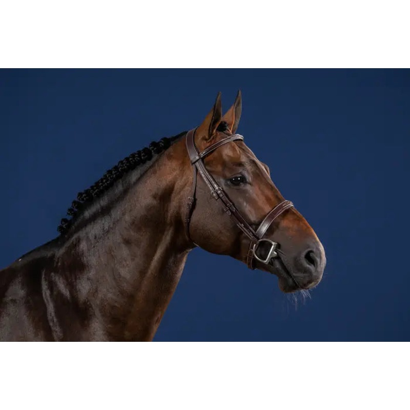 Dy’on Cavesson Hunter Noseband Bridle