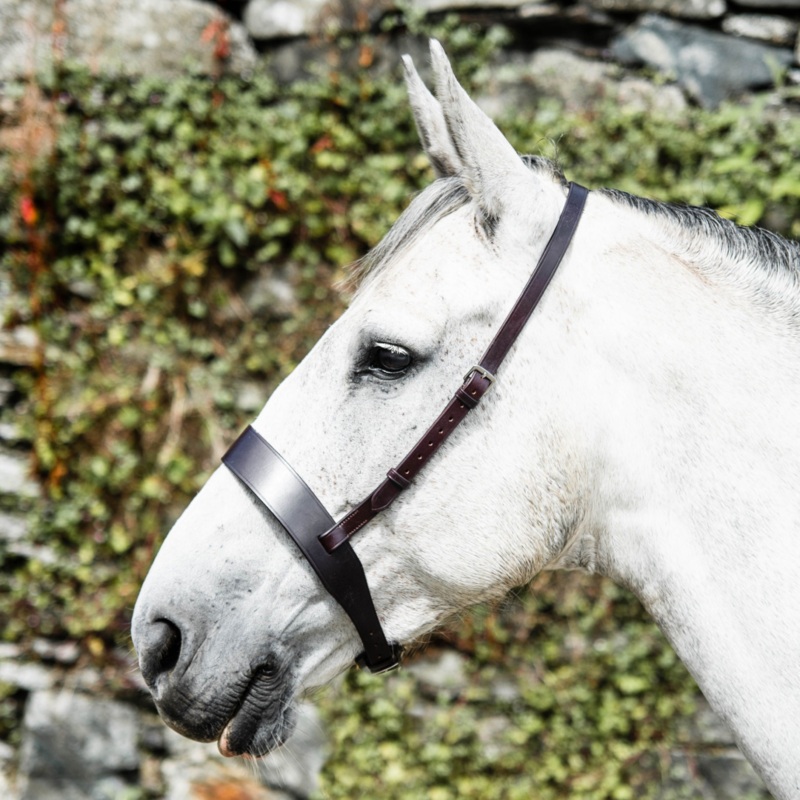 Mackey Classic Wide Flat Cavesson Noseband