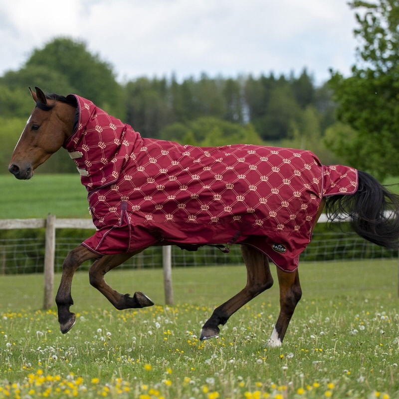 Mediumweight Horse Turnout Rug