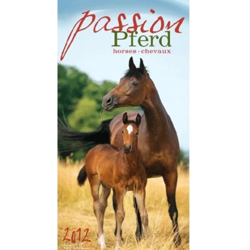 Passion (Friesian) By: Jan Kunster