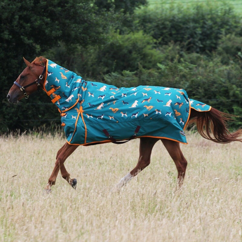 Gallop Trojan 200g Horse Turnout Rug Combo Full Neck Mediumweight Dog Print