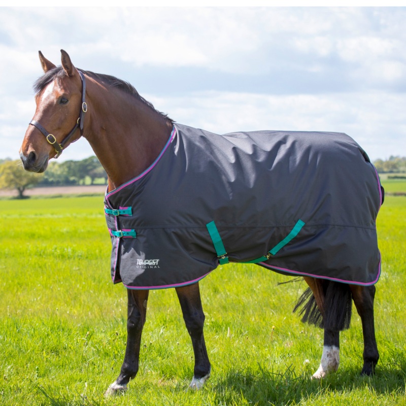Shires Tempest Original 300g Turnout Rug