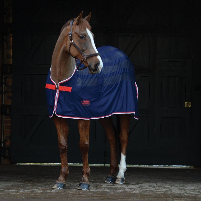 Weatherbeeta Scrim Horse Cooler / Travel Rug, Std Neck