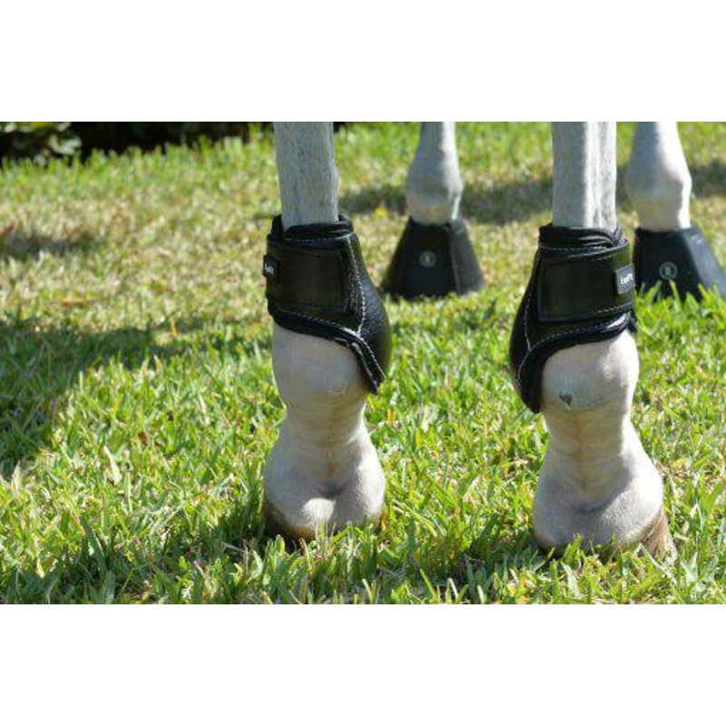 Young Horse Hind Boot by Equifit