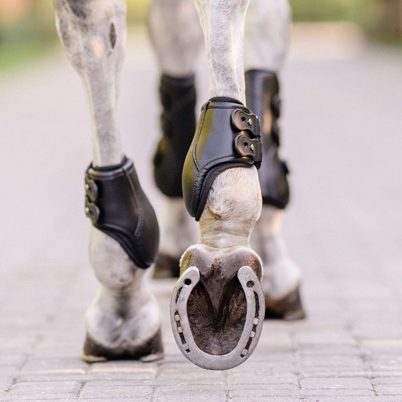 Eq-Teq Hind Boots