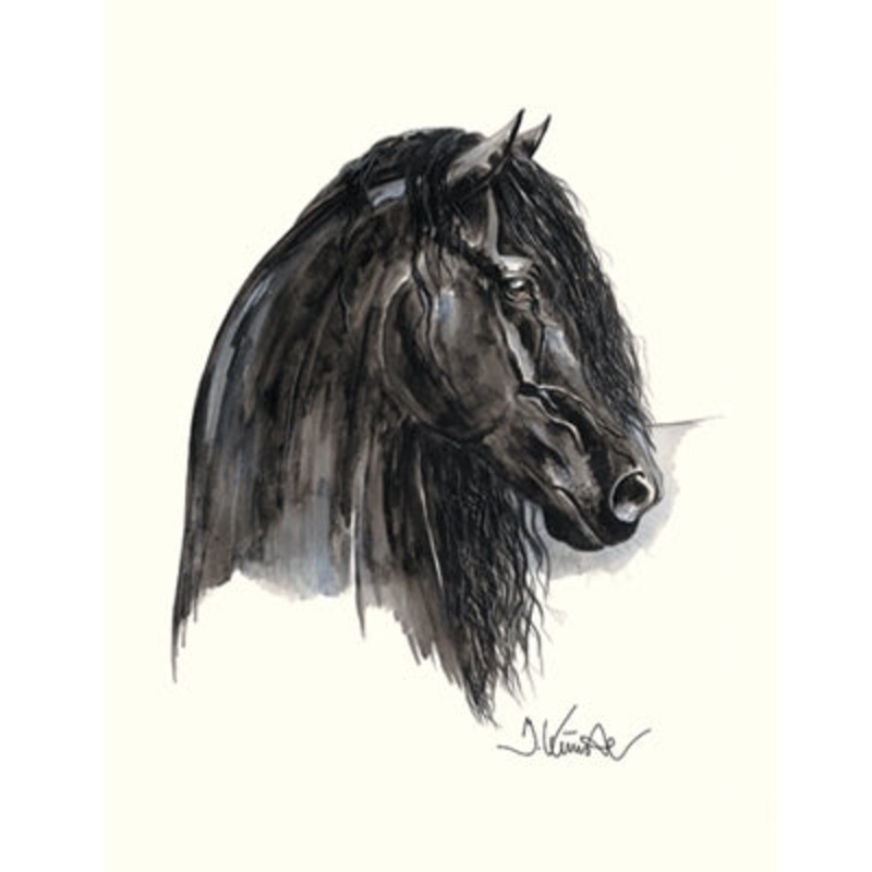 Johnny C (Friesian) By: Jan Kunster
