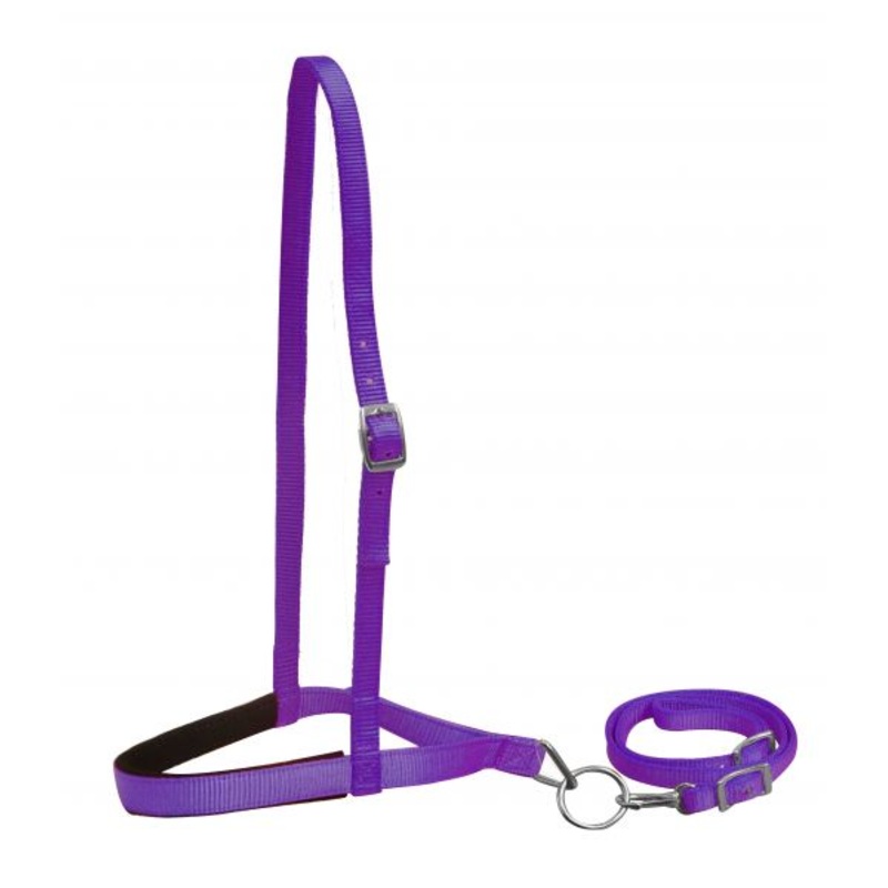 #175786: Showman  Premium nylon noseband and tiedown
