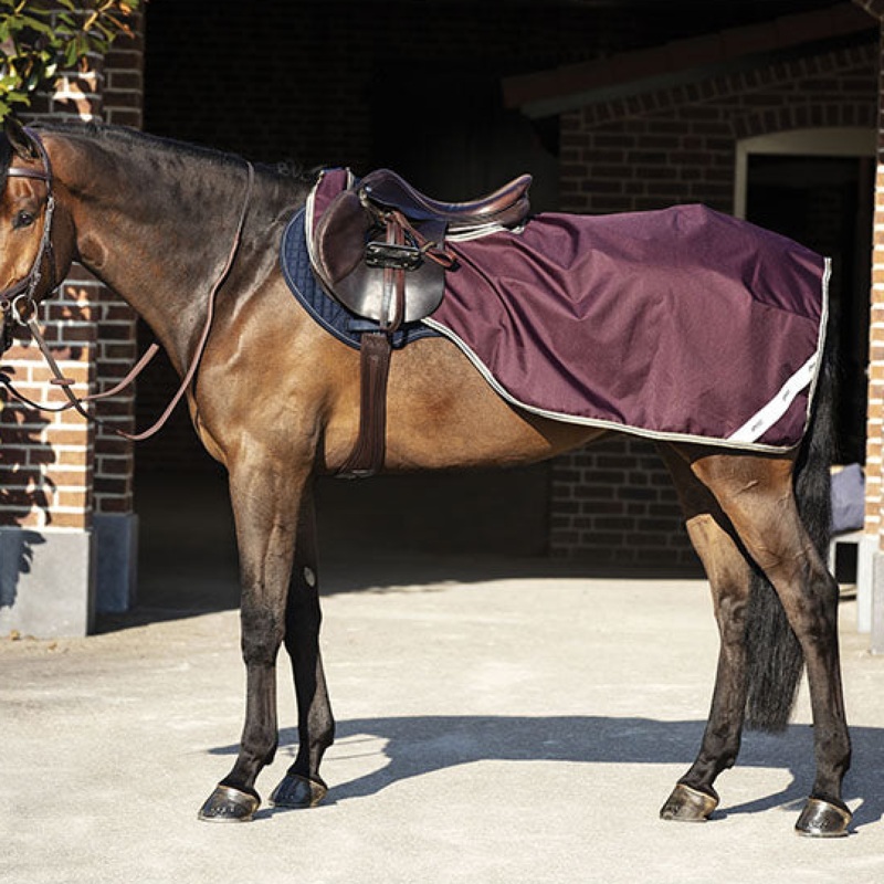 Horseware Ireland Amigo Ripstop Competition Sheet
