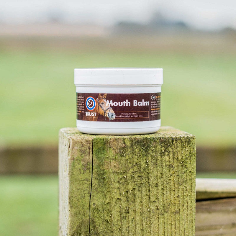 Mouth Balm