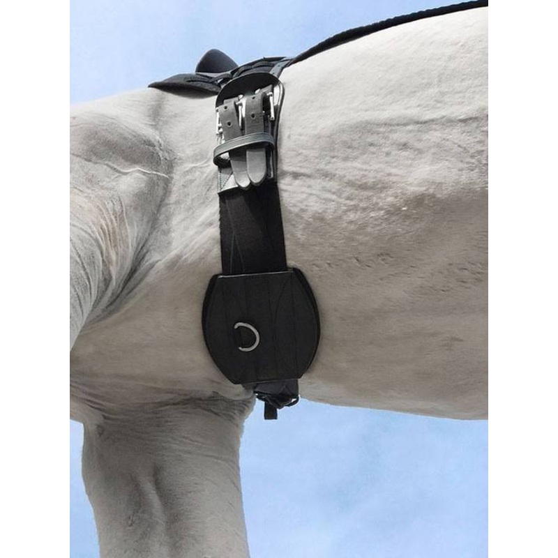 Tapestry Dressage/Monoflap Comfort Girth