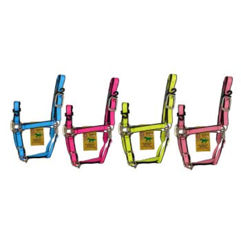 #1QASYRNE: HAMILTON, 3ply Poly Yearling Halter (300-500lbs), this NEON halter features heavy duty n