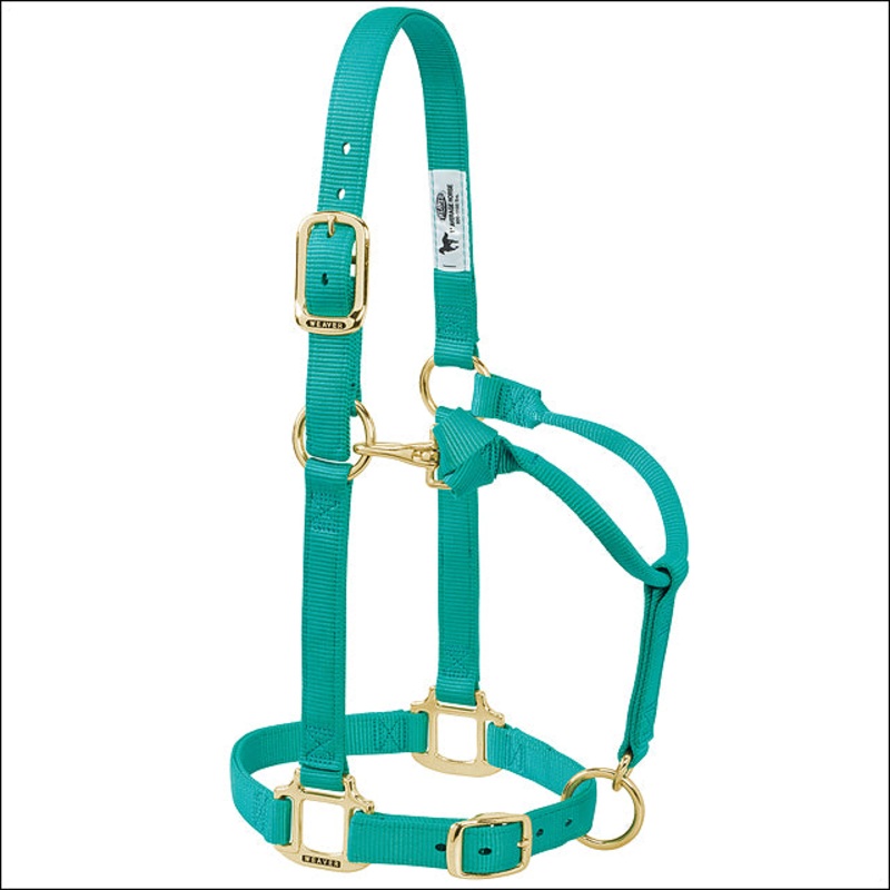 Weaver Western Tack Adjustable Horse Halter 1″ Average Horse Brass Snap Green