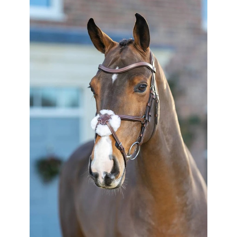 Arika Grackle Bridle