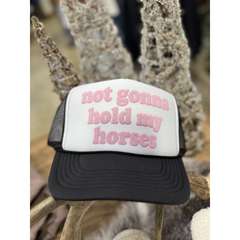 Not Gonna Hold My Horses Trucker