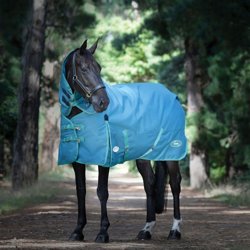 Weatherbeeta Green-Tec 220g Turnout Rug, 1200Den, Detach-A-Neck, Mediumweight