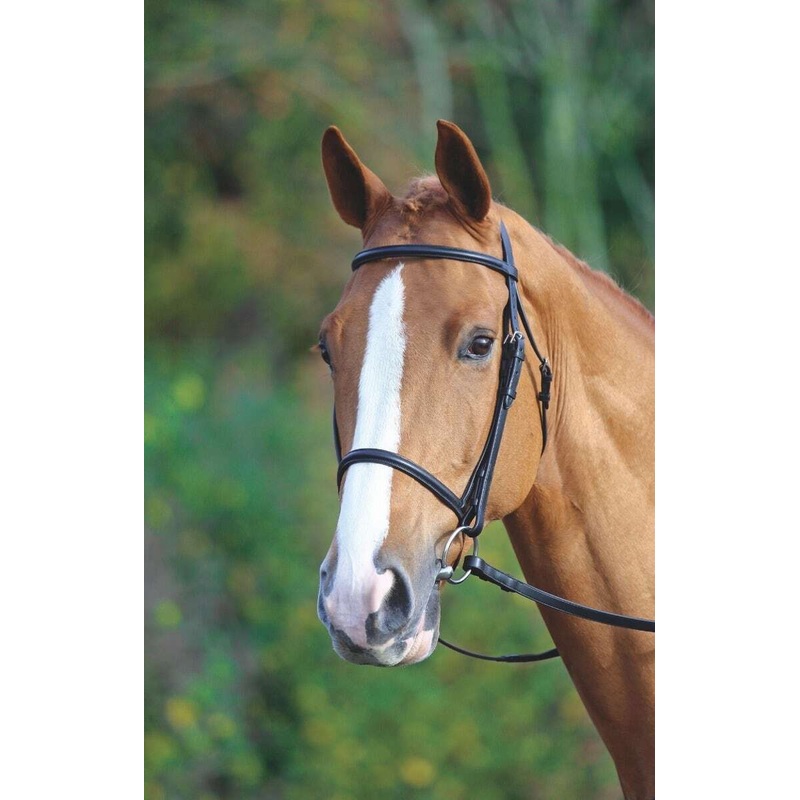 Shires Velociti Gara Raised Cavesson Bridle