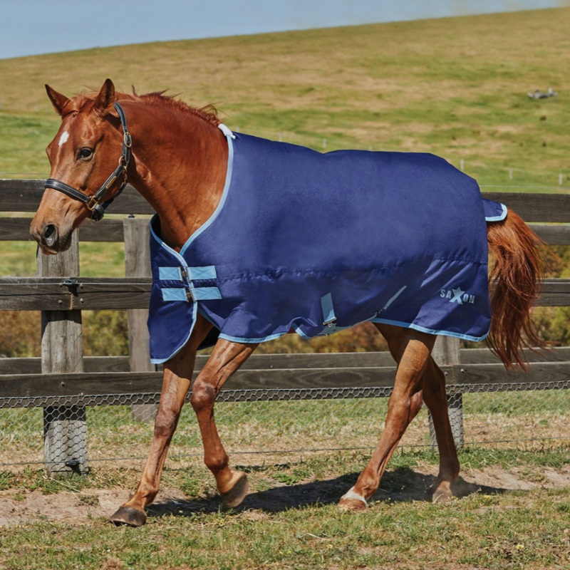 Saxon 600D Standard Neck Lite IV Rug