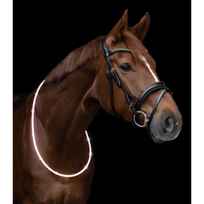 Waldhasuen LED Neck Strap