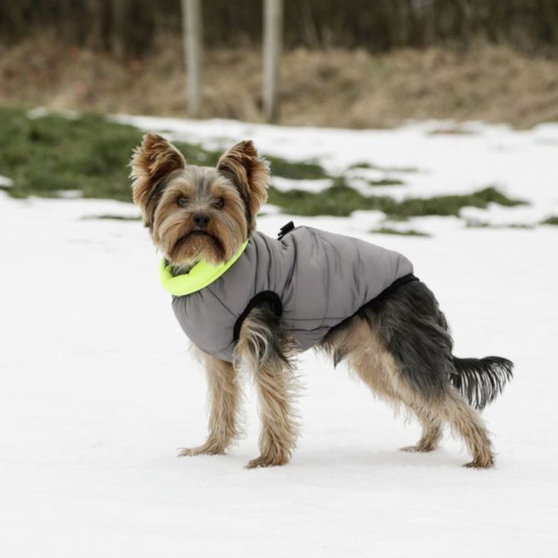 Kerbl Charmonix Quilted Dog Jacket