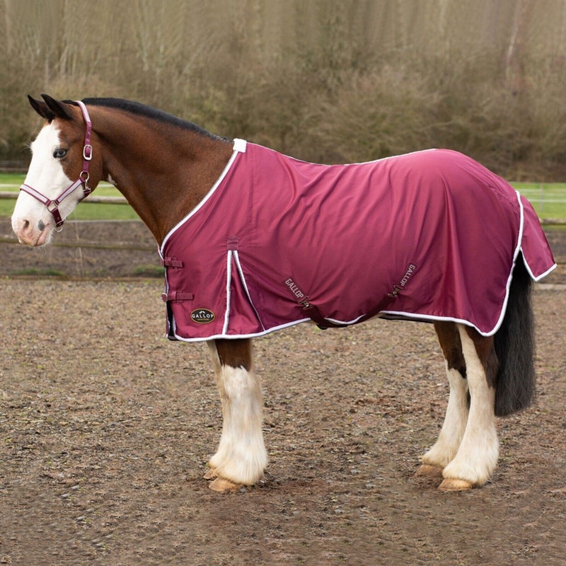 Gallop Summer Sheet Standard Neck, Horse Rug, Lightweight,