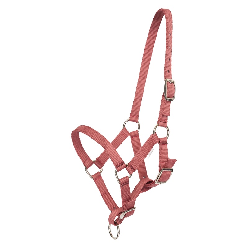 HV Polo Nena Foal Headcollar