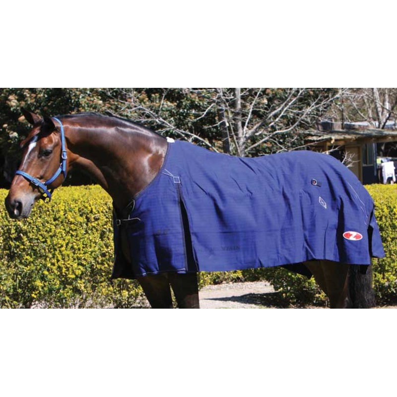 Zilco Blue Mountain Rug