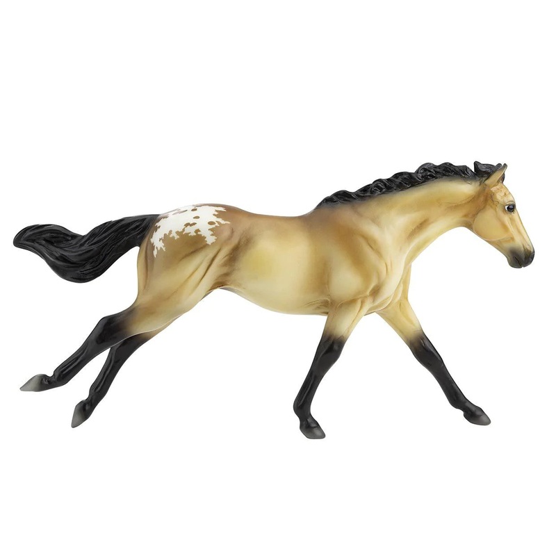 Buckskin Blanket Appaloosa