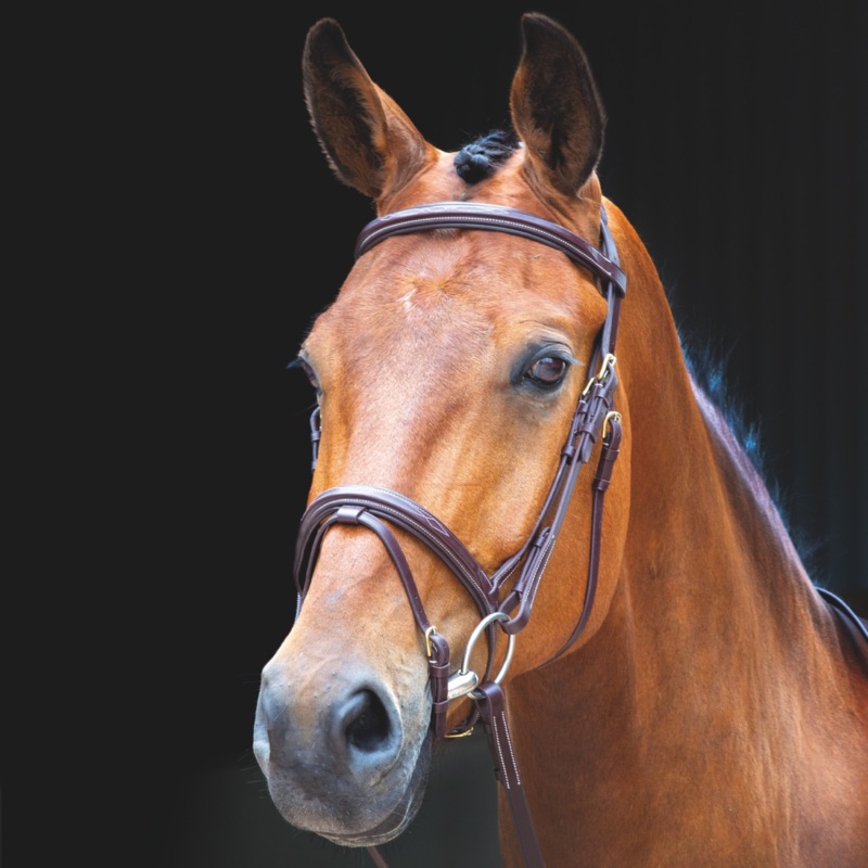 Shires Salisbury Bodenham Flash Bridle