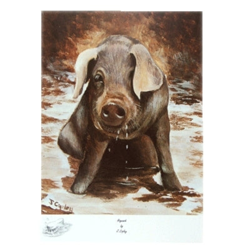 Hogwash by: Josephine Copley