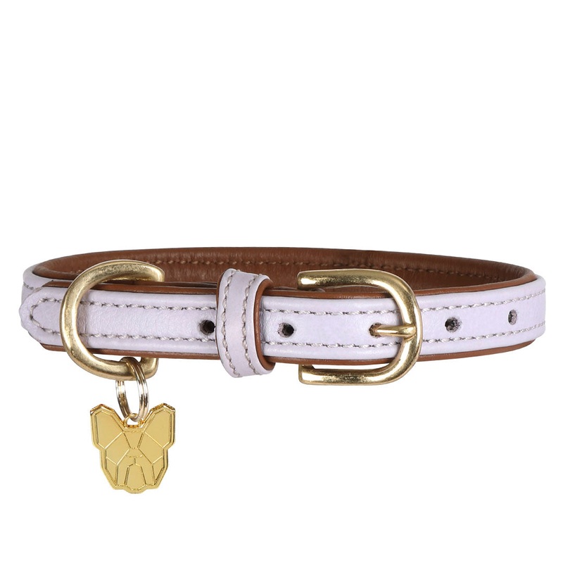 Shires Digby & Fox Padded Leather Dog Collar