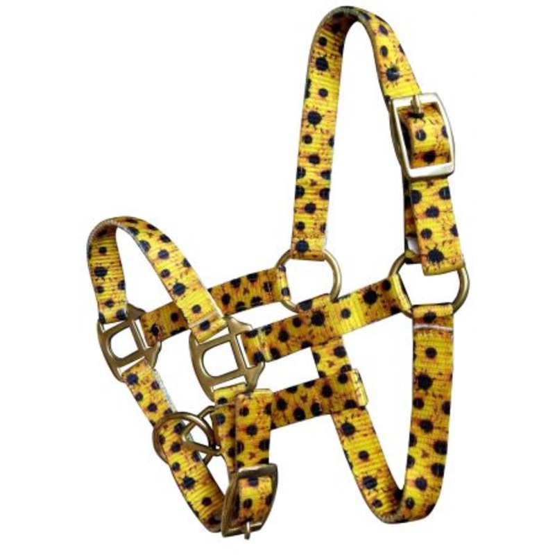 Showman  Premium nylon sunflower halter with brass hardware