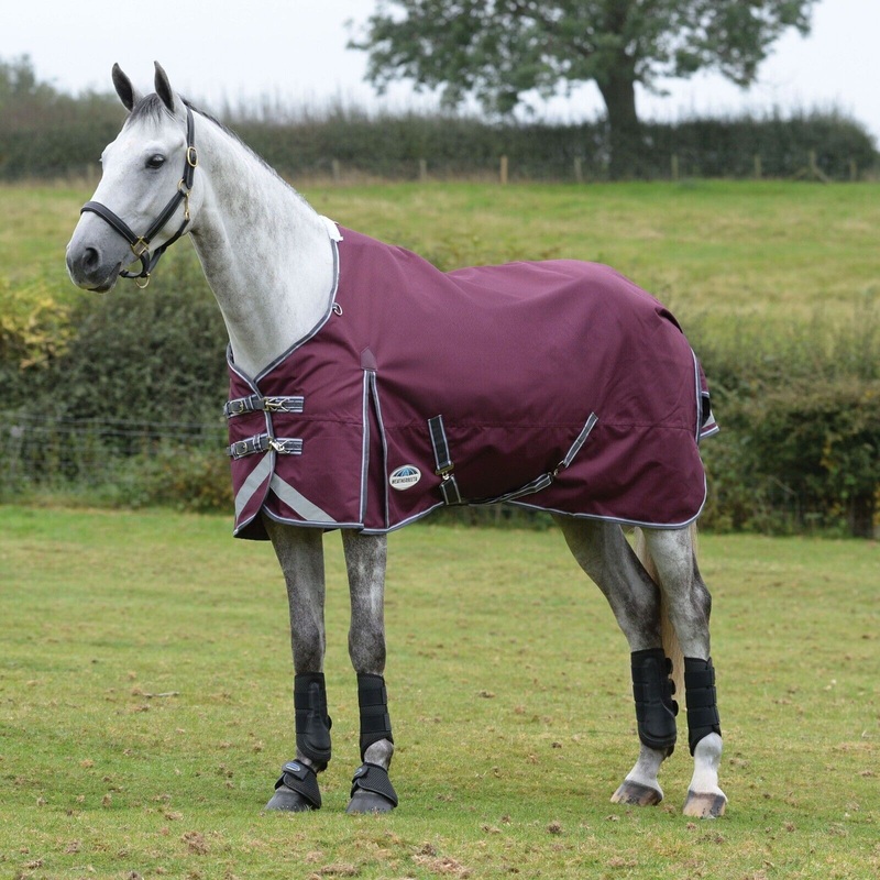 Weatherbeeta Comfitec Plus Dynamic II Turnout Rug 100g 1200D Medium,  Std Neck