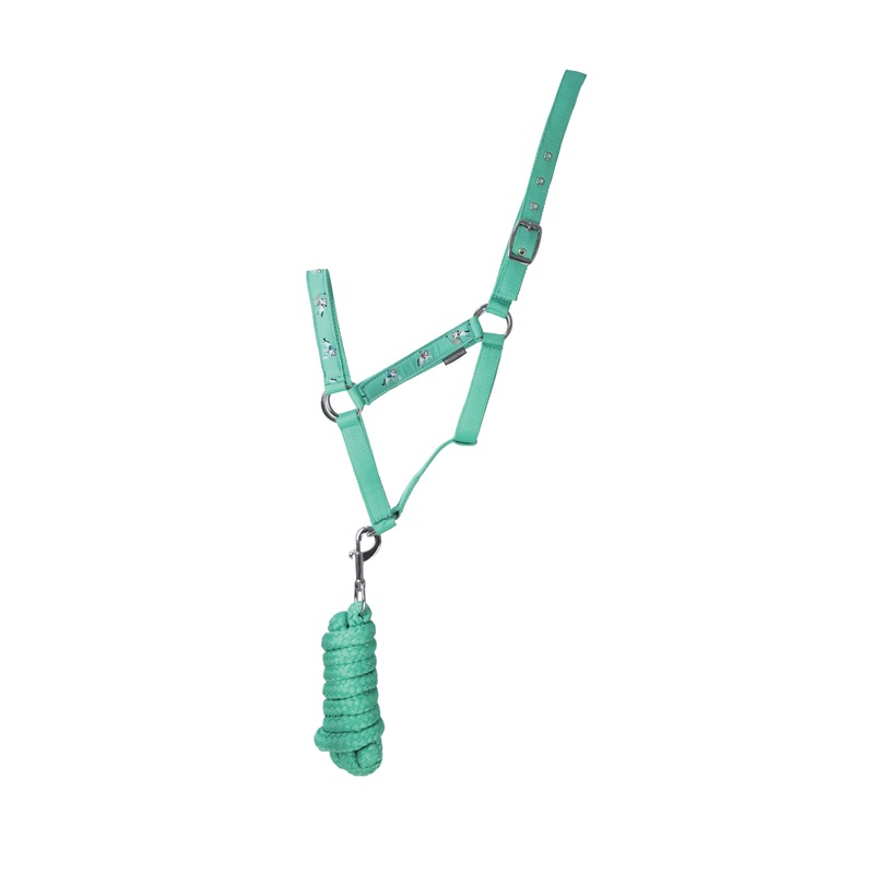 Hy Equestrian Competition Ready Head Collar and Lead Rope