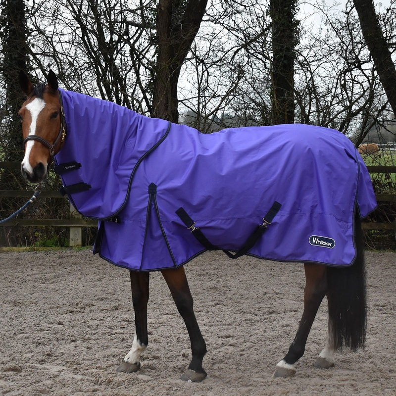 Whitaker Rastrick 0g Combo Turnout Rug