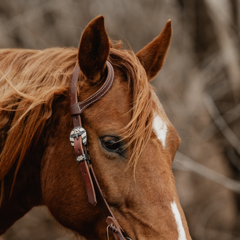 STS Ranch Signature Tack Harness Leather Sliding Ear Headstall, 3/4″