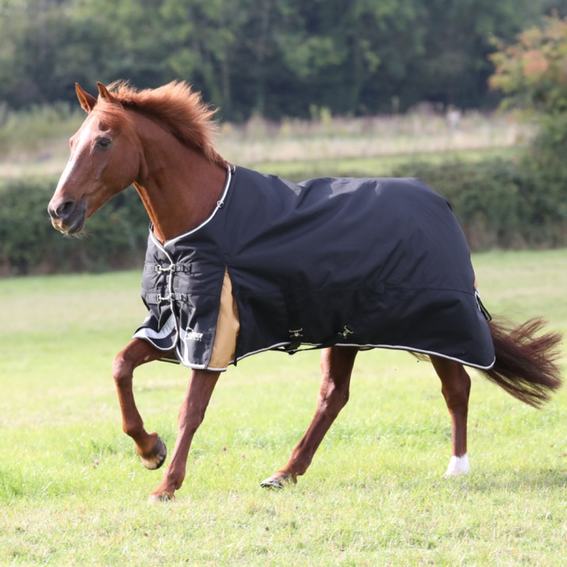 Shires Highlander Plus 200 Turnout Rug