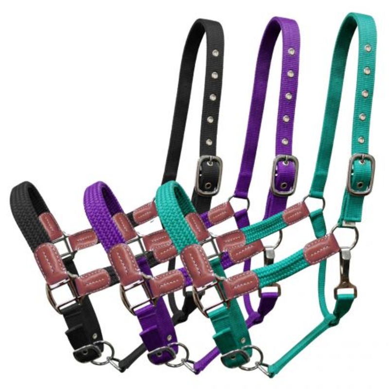 #16715: Showman  Nylon halter with leather accents