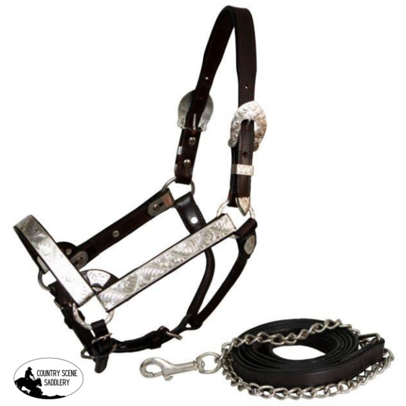 *Double stitched leather full horse size show halter  with lead.