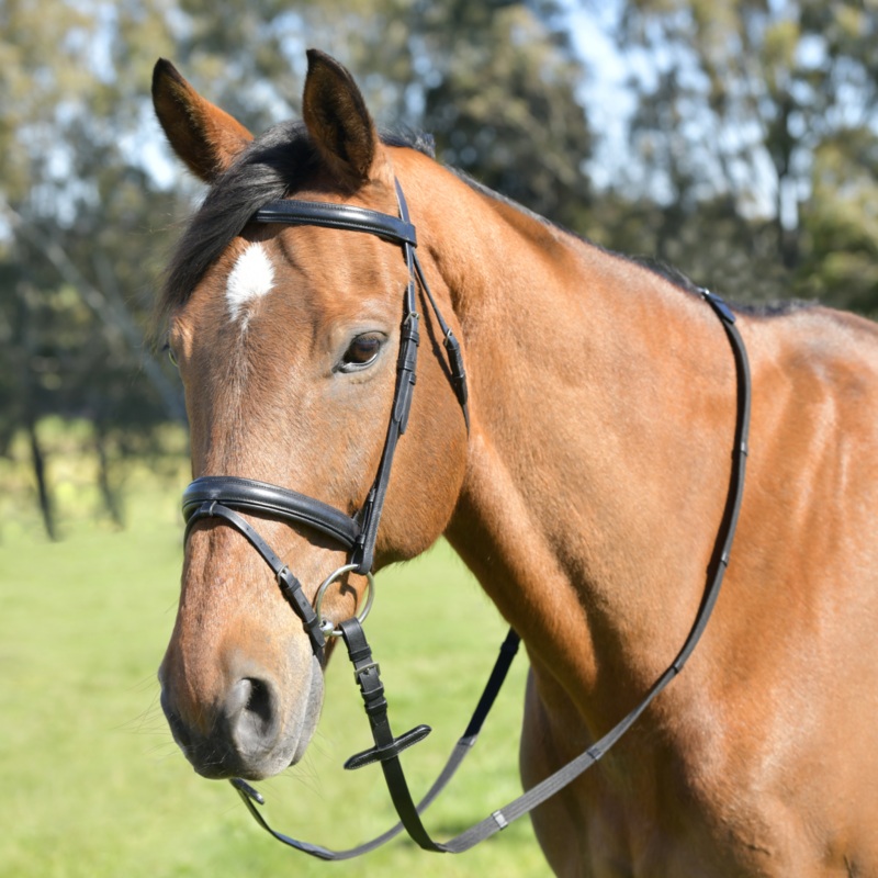 Kincade Classic Plain Raised Flash Bridle With Reins