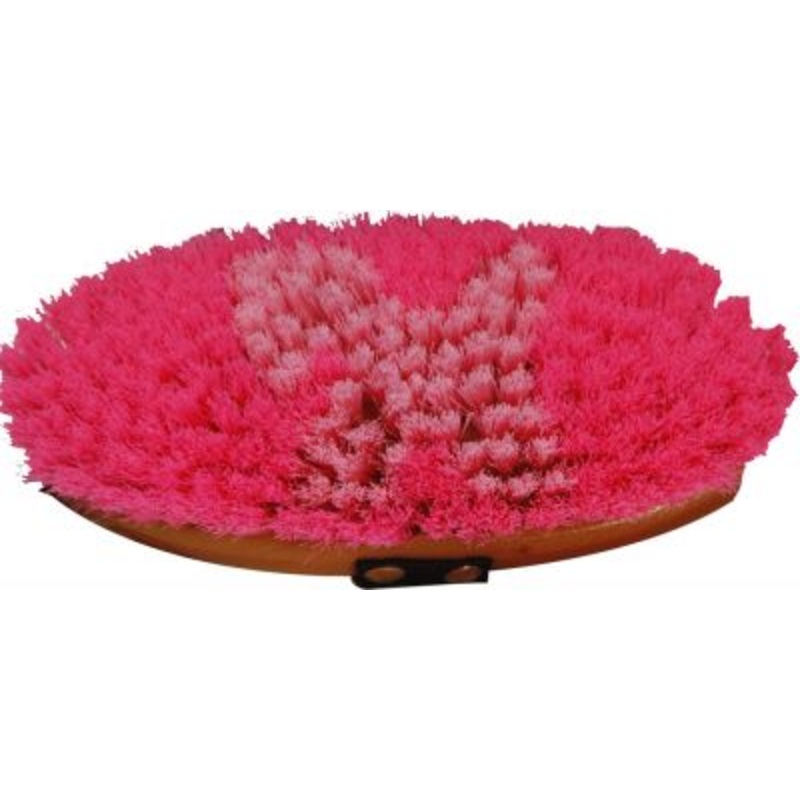 #24543: Showman junior size body brush with pony logo in bristles