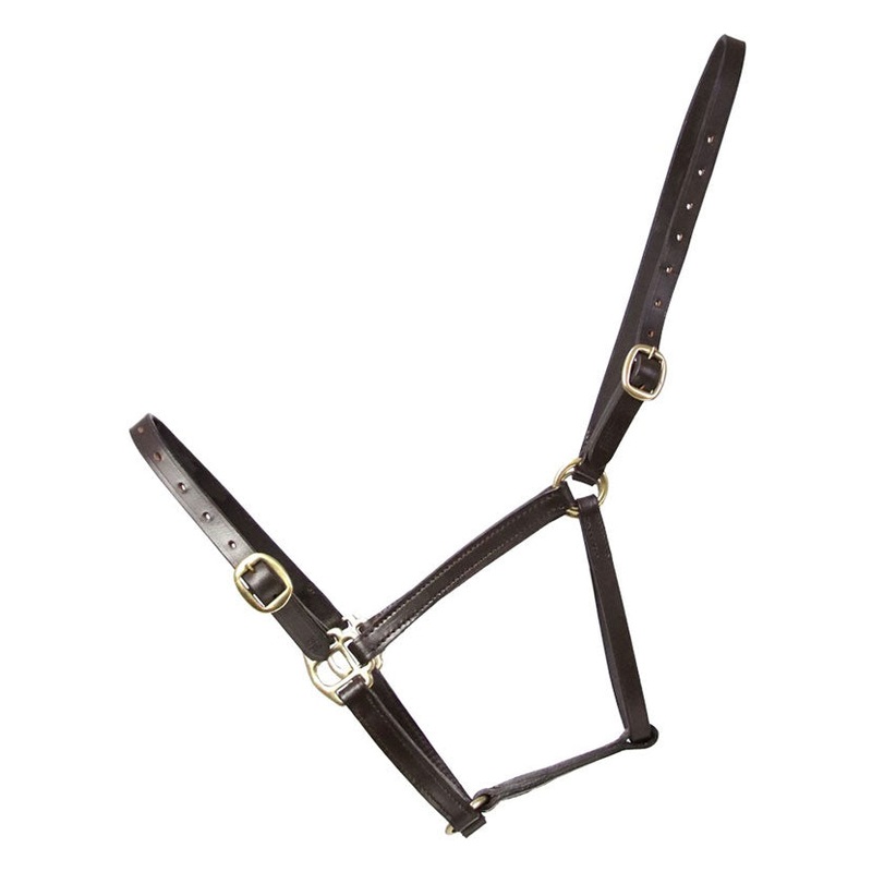 Hy Leather Foal Head Collar